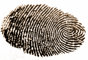 L'identité numérique 3 Empreinte digitale