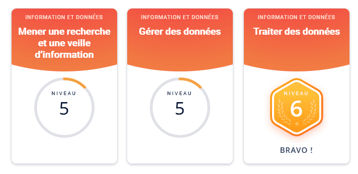 Lire la suite à propos de l’article Compétences numériques – référentiels et certifications