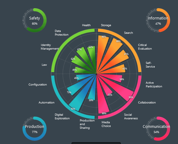 roue des compétences digitales
